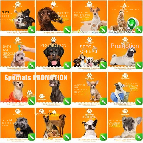 Pack 100 Artes Para Petshop Pet Shop Editáveis Corel Cdr